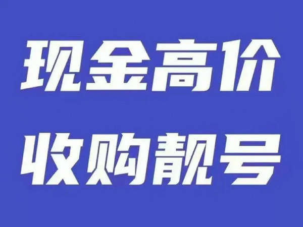 新沂网站制作